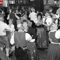 Bild153