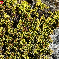 IMG_8401