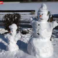 Februar 2011