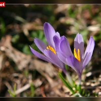 09-04-11 Ausflug in den Zemmgrund