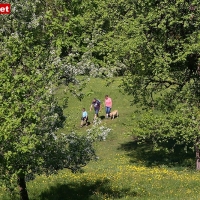 23-04-11 Frühlingstag in Aschau