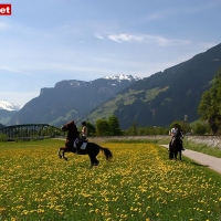 IMG_3848