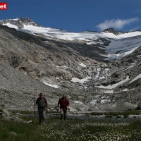 29-06-11 Im Zemmgrund