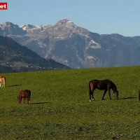 IMG_1621