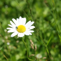 6H0W0605