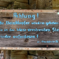 IMG_5361