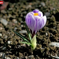 22-03-09 Frühlingsspuren