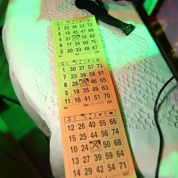 6H0W0499