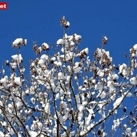 25-02-09 Streifzug durch das winterliche Zillertal
