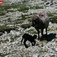 24-08-09 Schlegeis - Olpererhütte