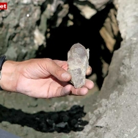 IMG_0220