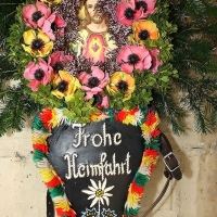 6H0W9689