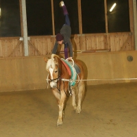23-12-09 Reitanlage Edhof - Fügen