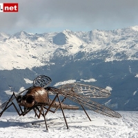 19-03-08 Schitag im Zillertal
