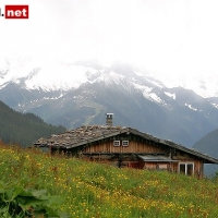15-06-08 Mayrhofner Bergbahnen - Penken - Tux
