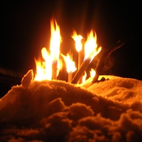 DSCN2698