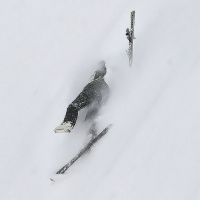 09-03-07 Bergbahn Mayrhofen - Harakiri-Piste