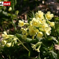 Bild-002