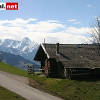 Bild-010
