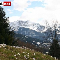 Bild-066