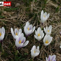 Bild-069