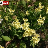 Bild-074