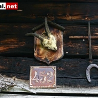 29.7.-045