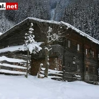 16-12-07 Bewohnte Aste im Zillergrund