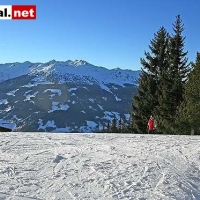 IMG_8004