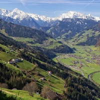 22. Distelberg