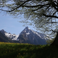 11. Brandberg