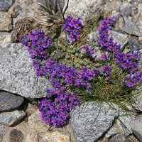 03. Schlegeis