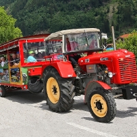 6H0W0778