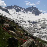 05. Floite - Greizerhütte