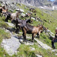 17. Schlegeis - Scheibenkar
