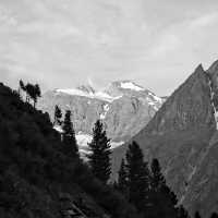 IMG_4527