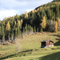IMG_7567