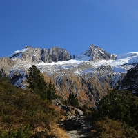 IMG_7655