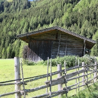 IMG_9050