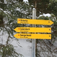 28. Frühlingslanglauf im Tuxertal