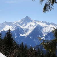 IMG_7493