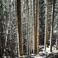 19. Ginzling - Wandegg