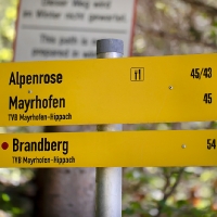 E54I3921