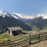 IMG_7876