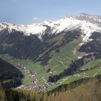 IMG_7960