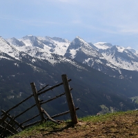 IMG_8050