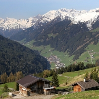 IMG_7865