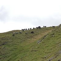 IMG_1357