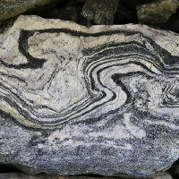 IMG_1817