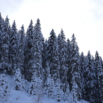 19. Erlebnisreich - Gerlos